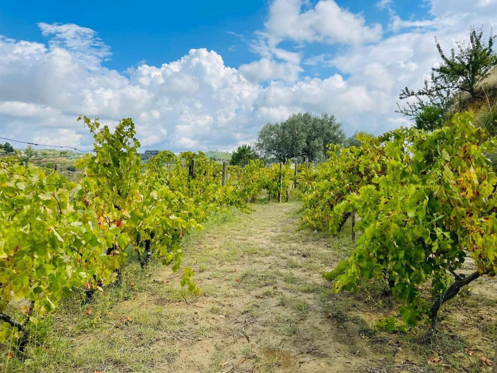 Agriresort Villa Bentivoglio Piazza Armerina Luaran gambar