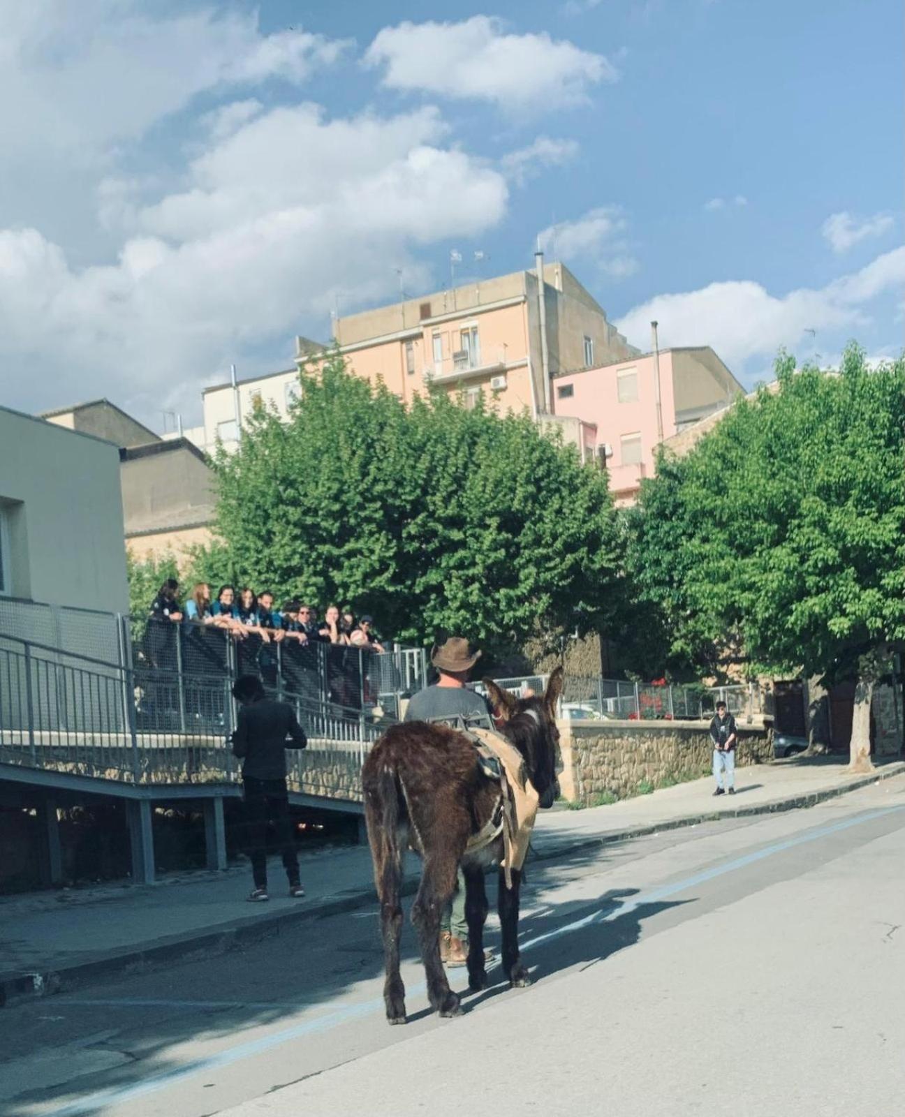 Agriresort Villa Bentivoglio Piazza Armerina Luaran gambar